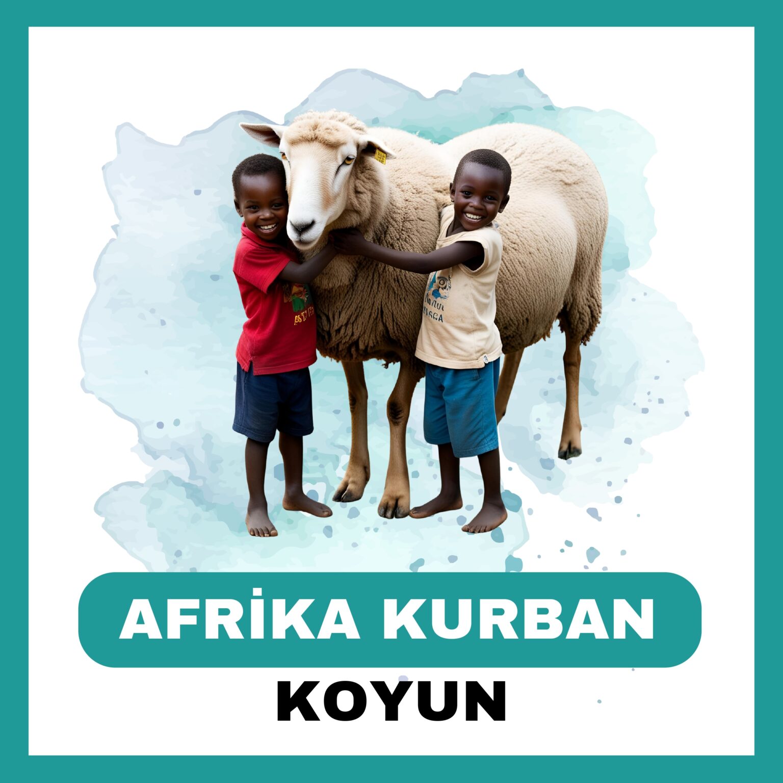 Afrika Koyun