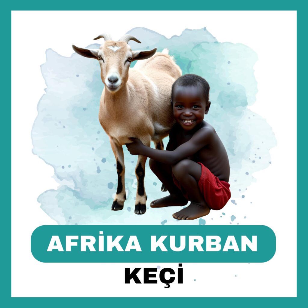 Afrika Keçi