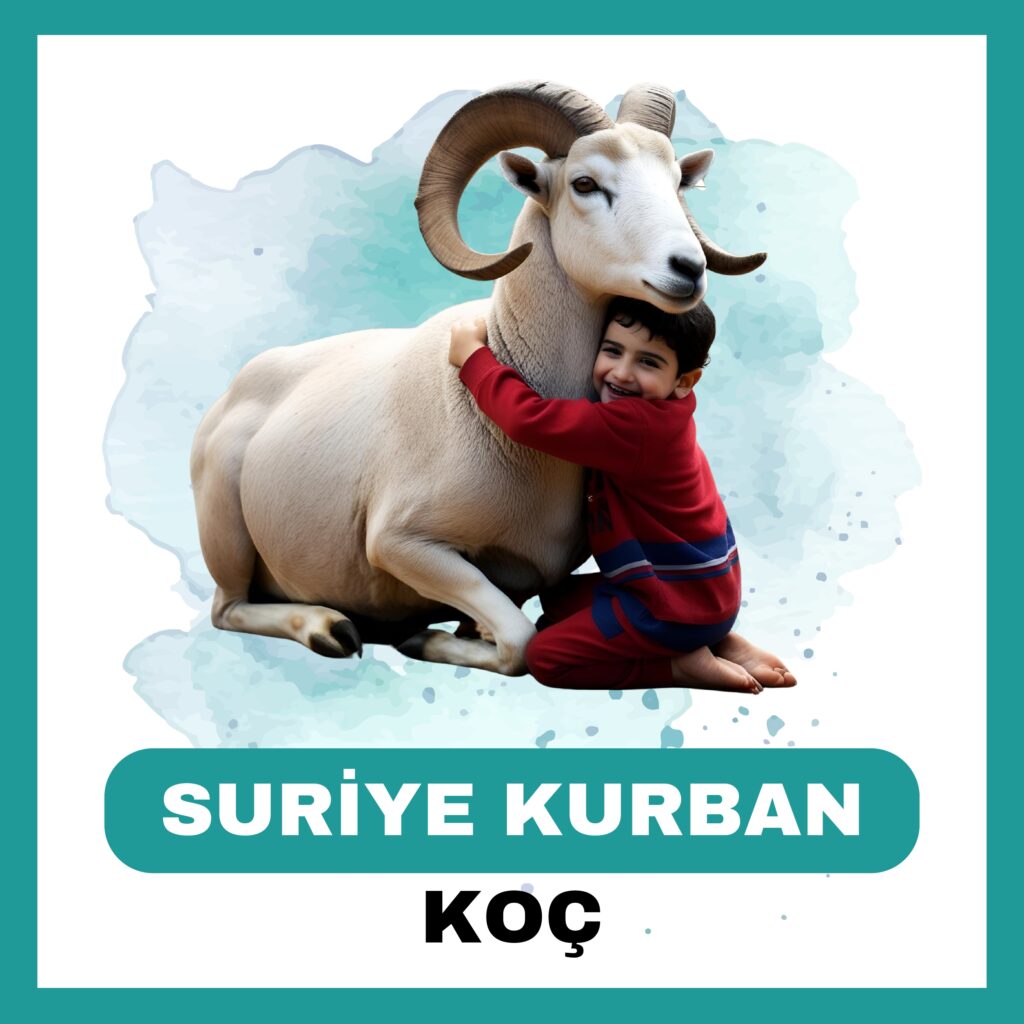 Suriye Koç